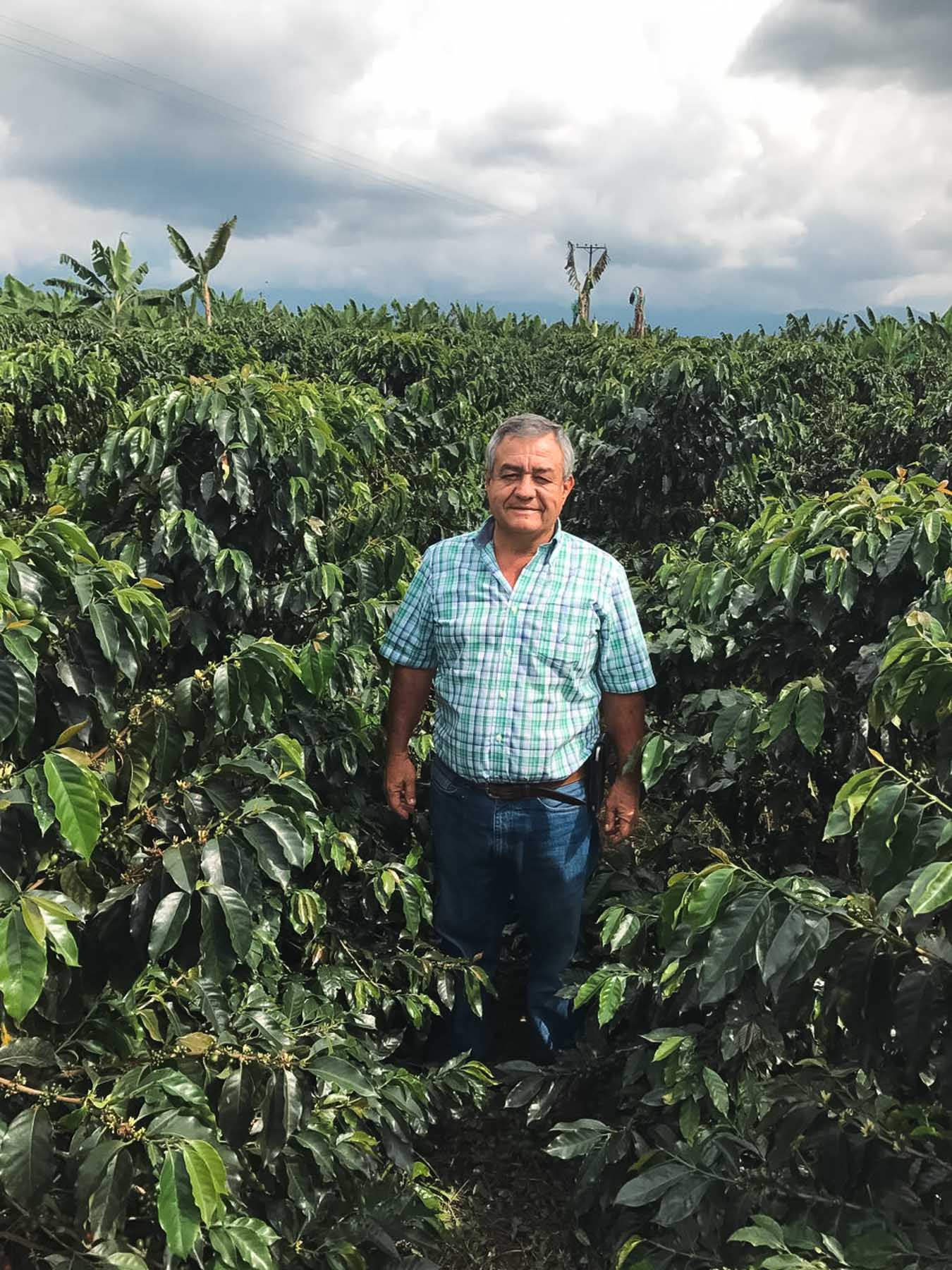 Jairo Arcila with coffee trees