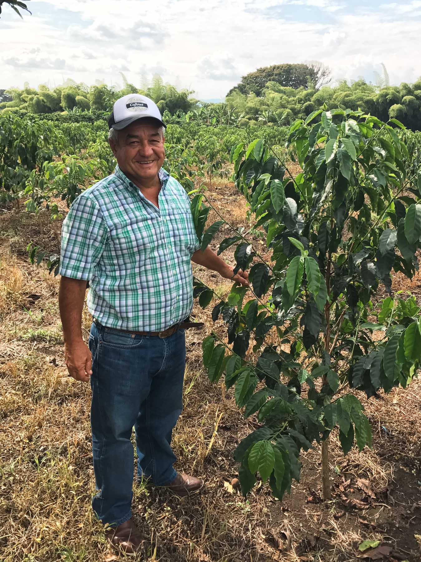 Jairo Arcila coffee farm